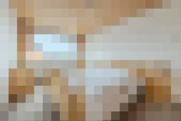 Kortenaerlaan 16 Terneuzen thumbnail 15