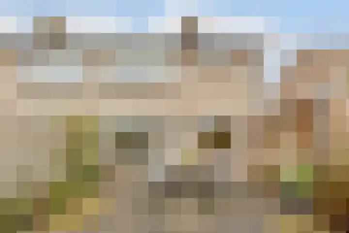 Kortenaerlaan 16 Terneuzen thumbnail 30