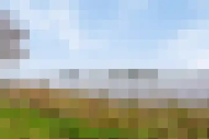 Kortenaerlaan 16 Terneuzen thumbnail 34