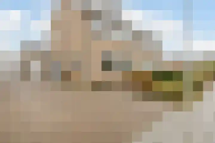 Kortenaerlaan 16 Terneuzen thumbnail 4