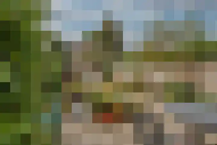 Kortenaerlaan 17 Bennebroek thumbnail 27