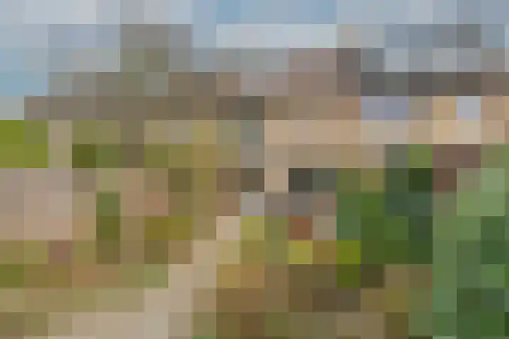 Kortenaerlaan 17 Bennebroek thumbnail 28
