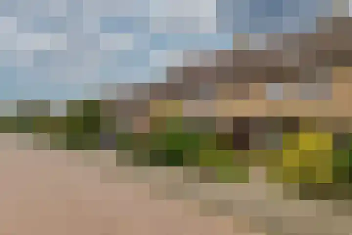 Kortenaerlaan 17 Bennebroek thumbnail 29