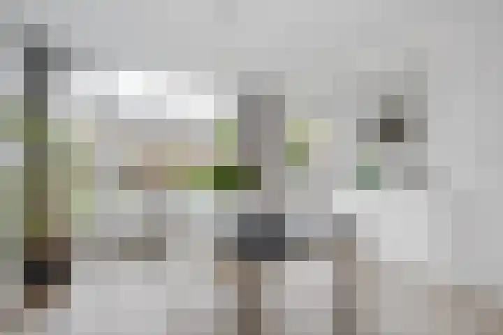 Kortenaerlaan 17 Voorschoten thumbnail 15