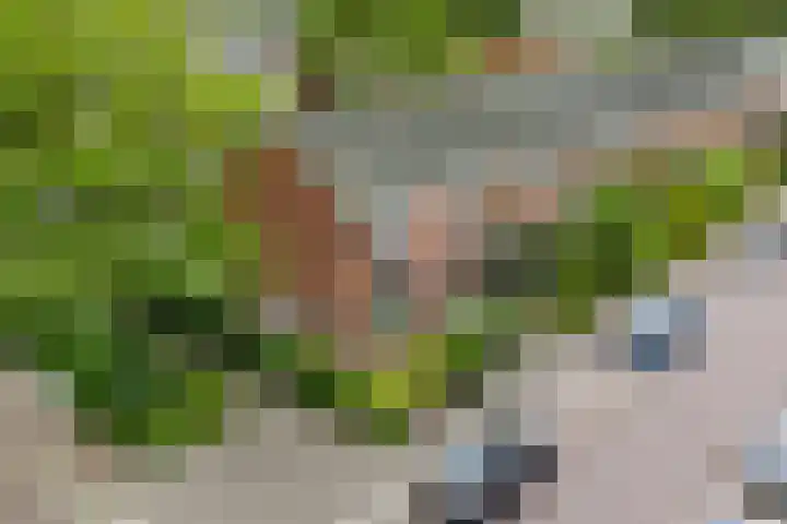 Kortenaerlaan 17 Voorschoten thumbnail 42