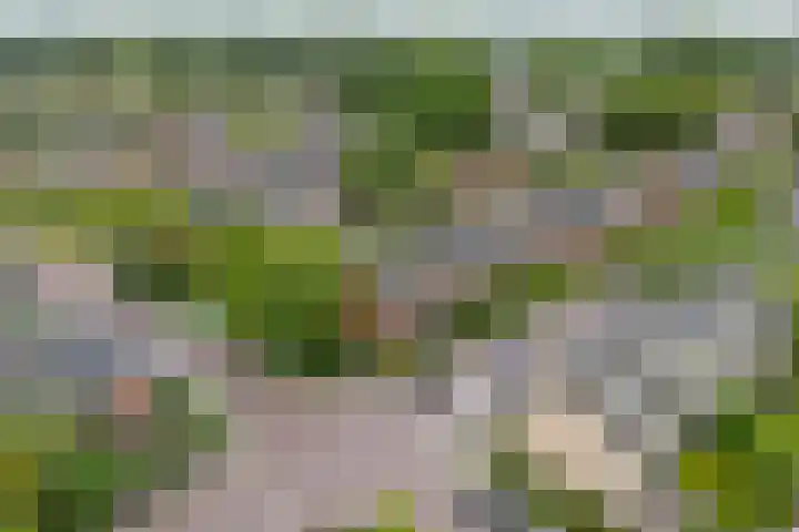 Kortenaerlaan 17 Voorschoten thumbnail 43