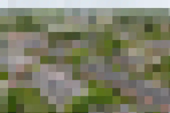 Kortenaerlaan 17 Voorschoten thumbnail 44