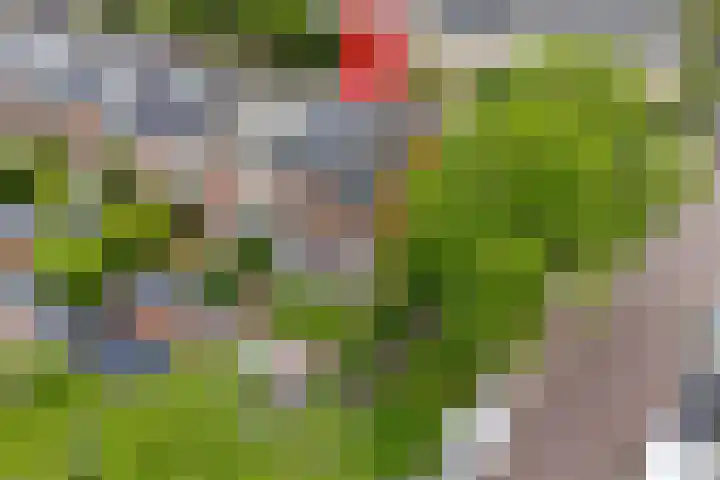 Kortenaerlaan 17 Voorschoten thumbnail 47