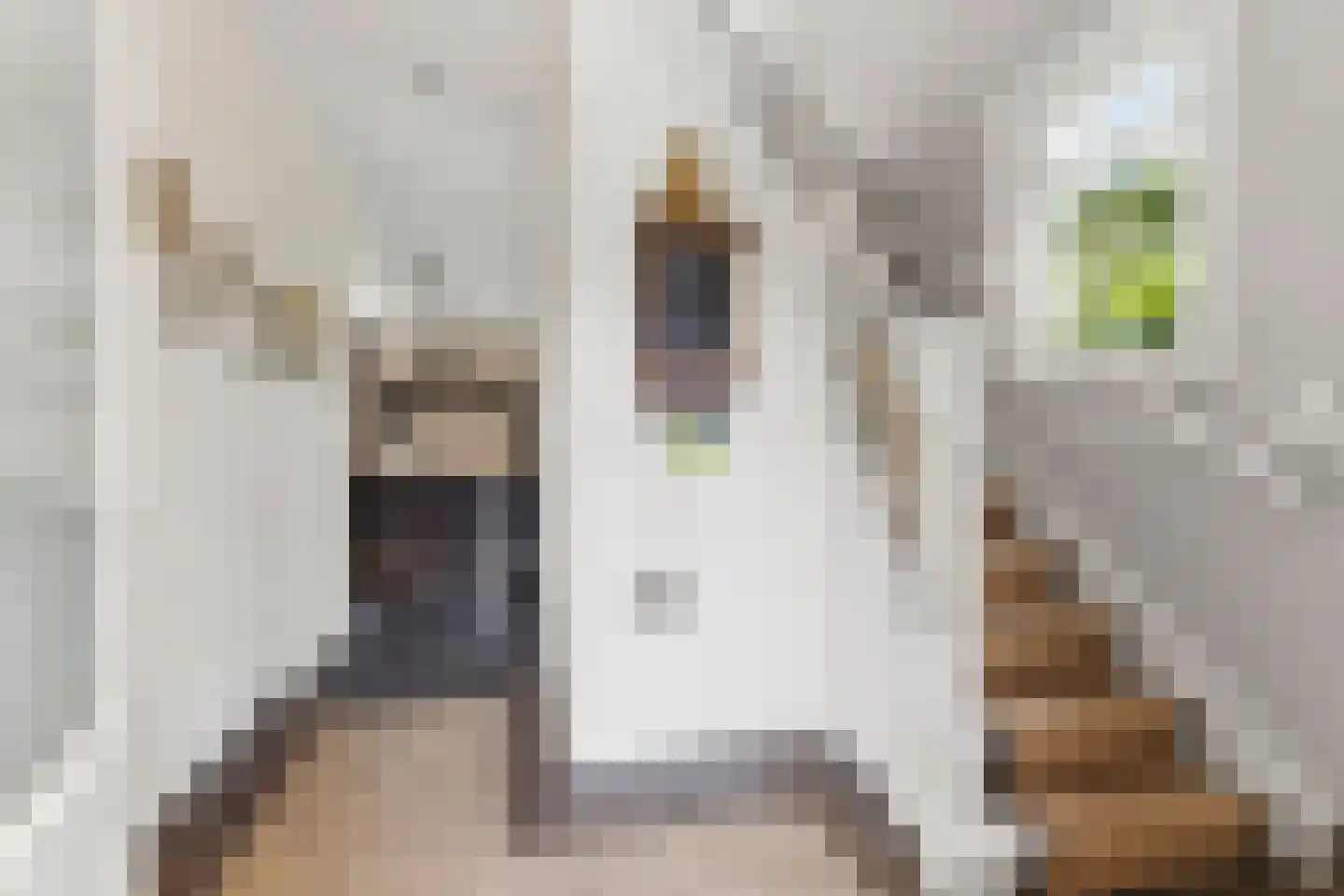 Kortenaerlaan 2 Velp thumbnail 10