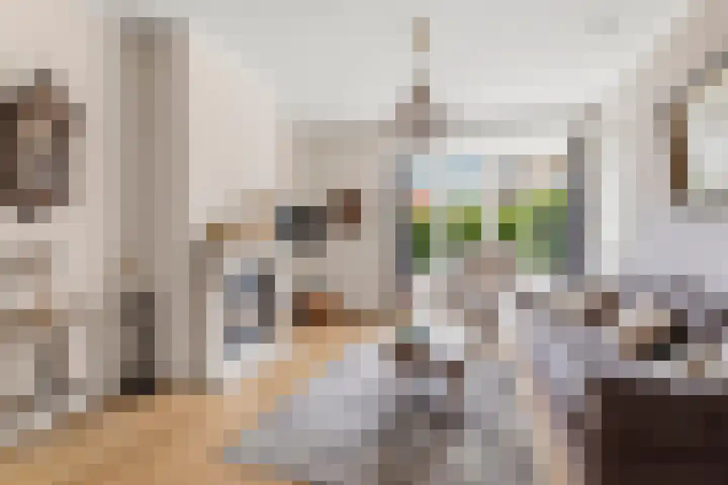 Kortenaerlaan 2 Velp thumbnail 11