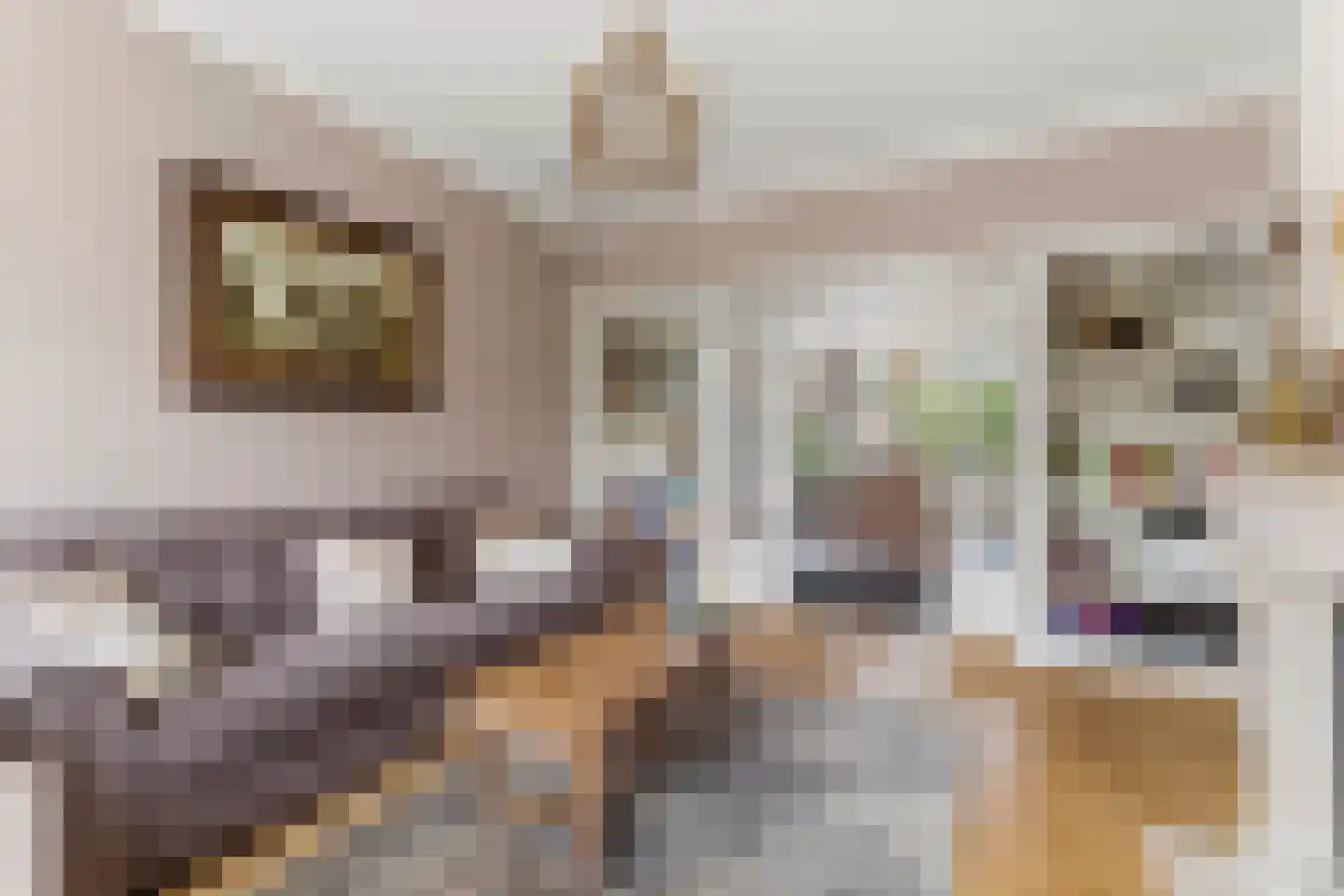 Kortenaerlaan 2 Velp thumbnail 12