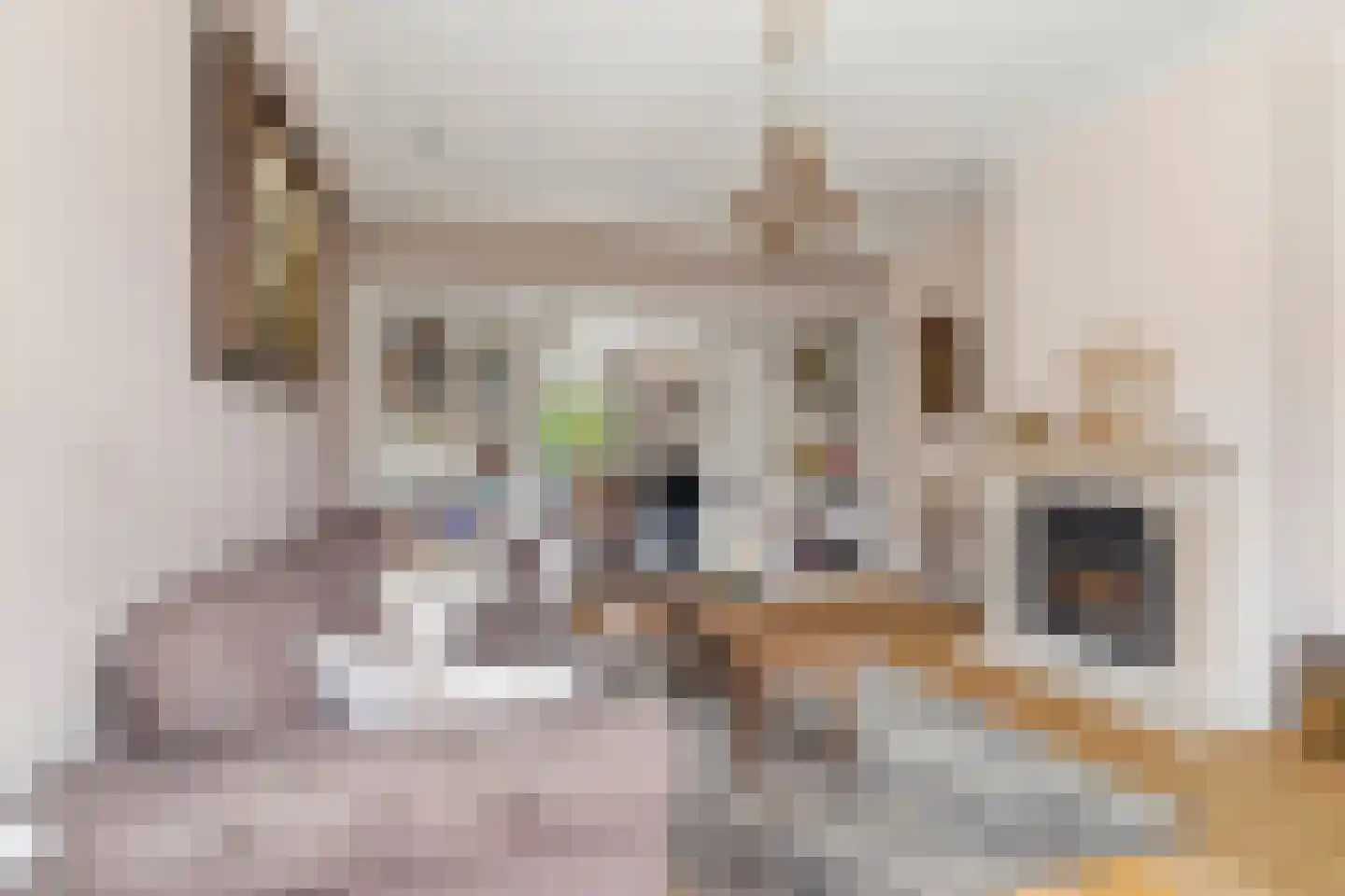 Kortenaerlaan 2 Velp thumbnail 13