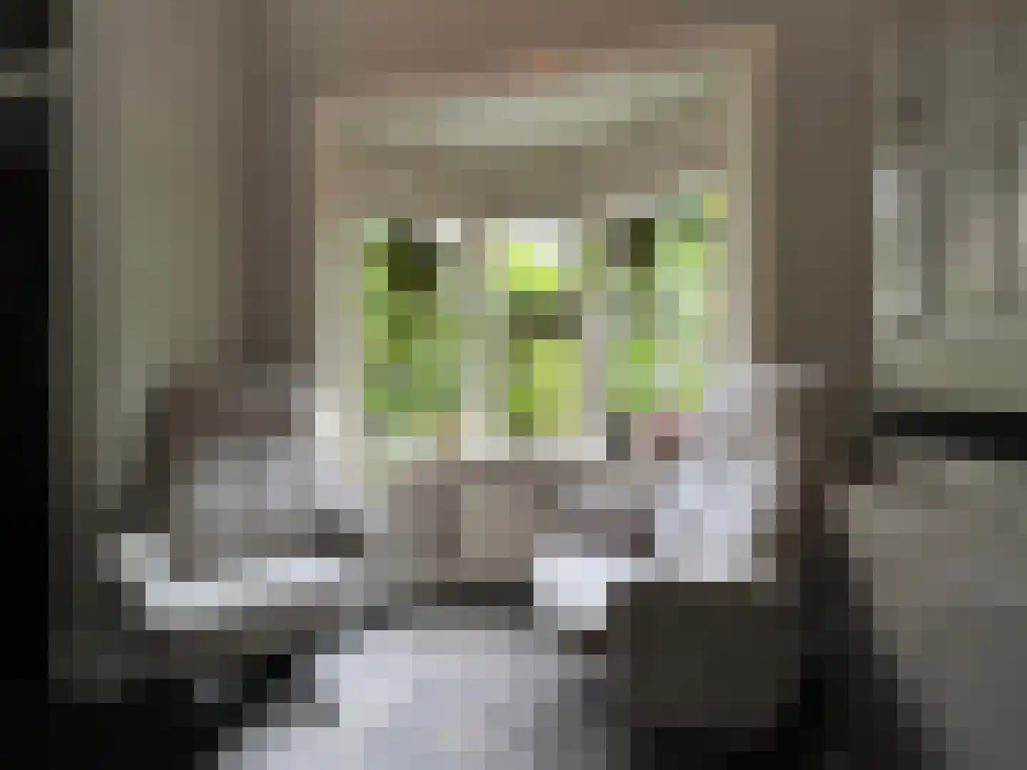 Kortenaerlaan 2 Velp thumbnail 16