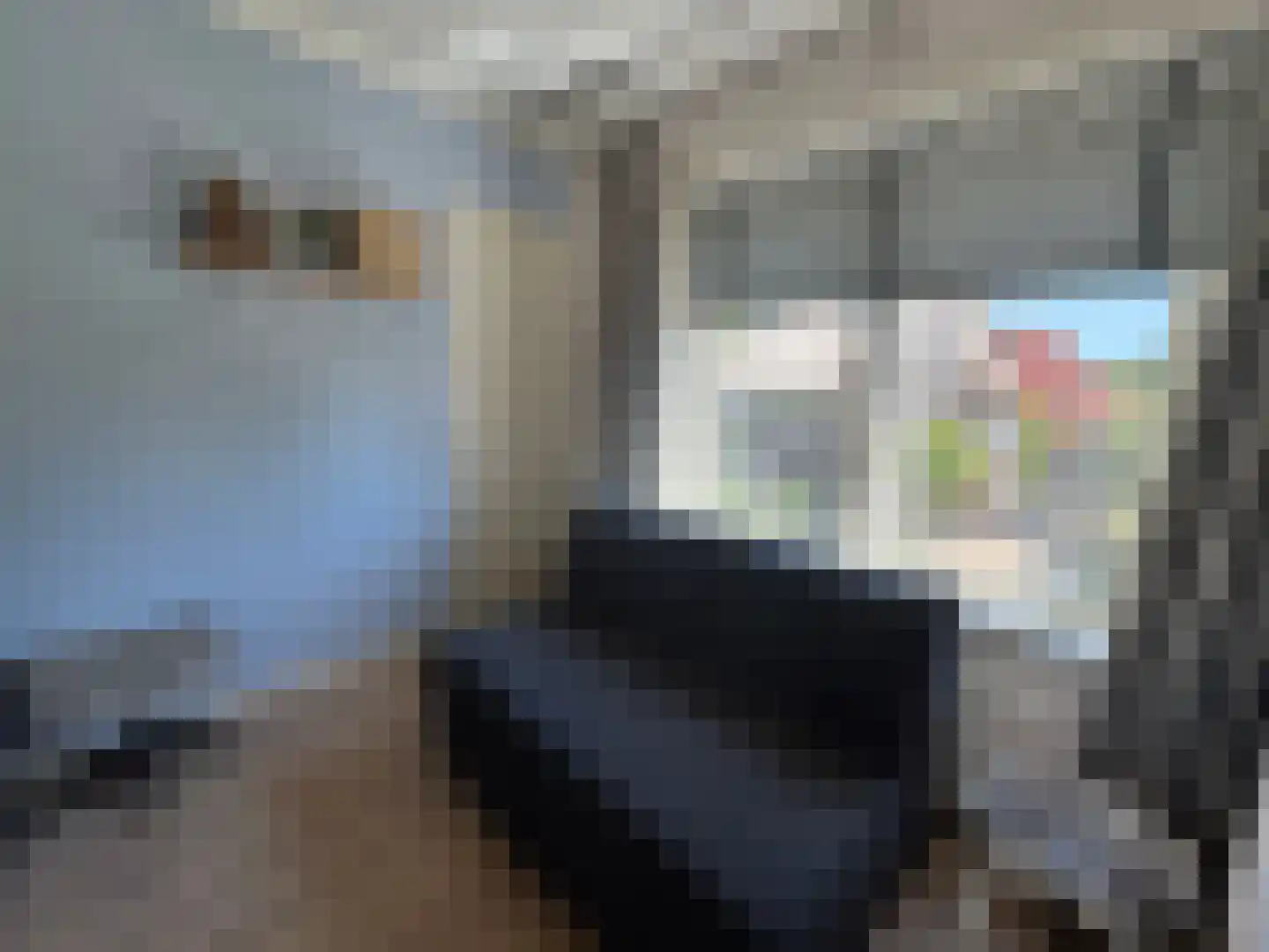 Kortenaerlaan 2 Velp thumbnail 26