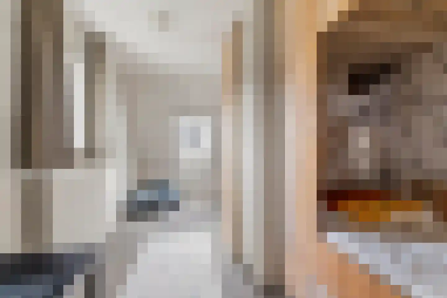 Kortenaerlaan 2 Velp thumbnail 34