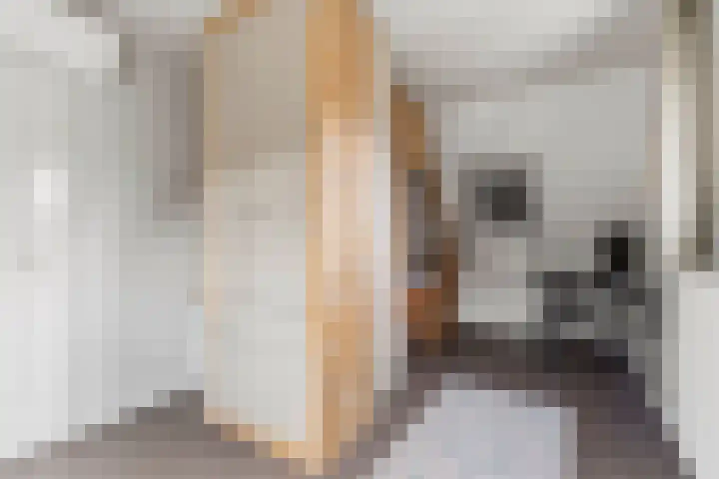 Kortenaerlaan 2 Velp thumbnail 40