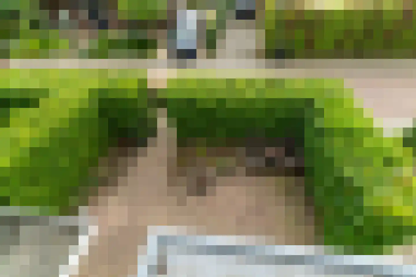 Kortenaerlaan 2 Velp thumbnail 42