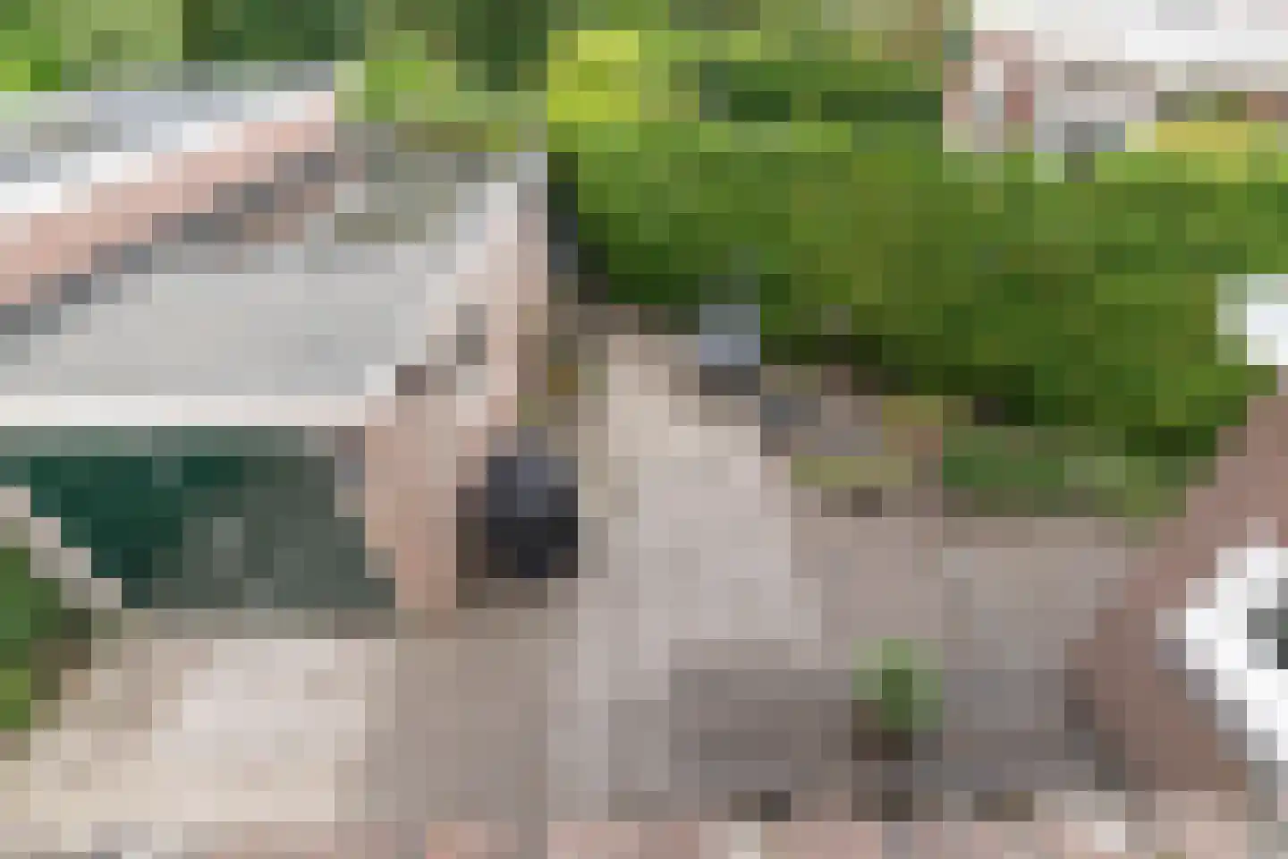 Kortenaerlaan 2 Velp thumbnail 43
