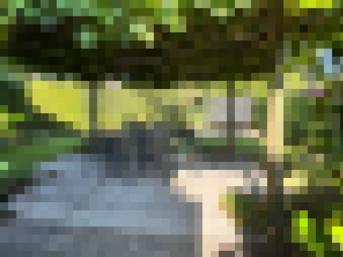 Kortenaerlaan 2 Velp thumbnail 45