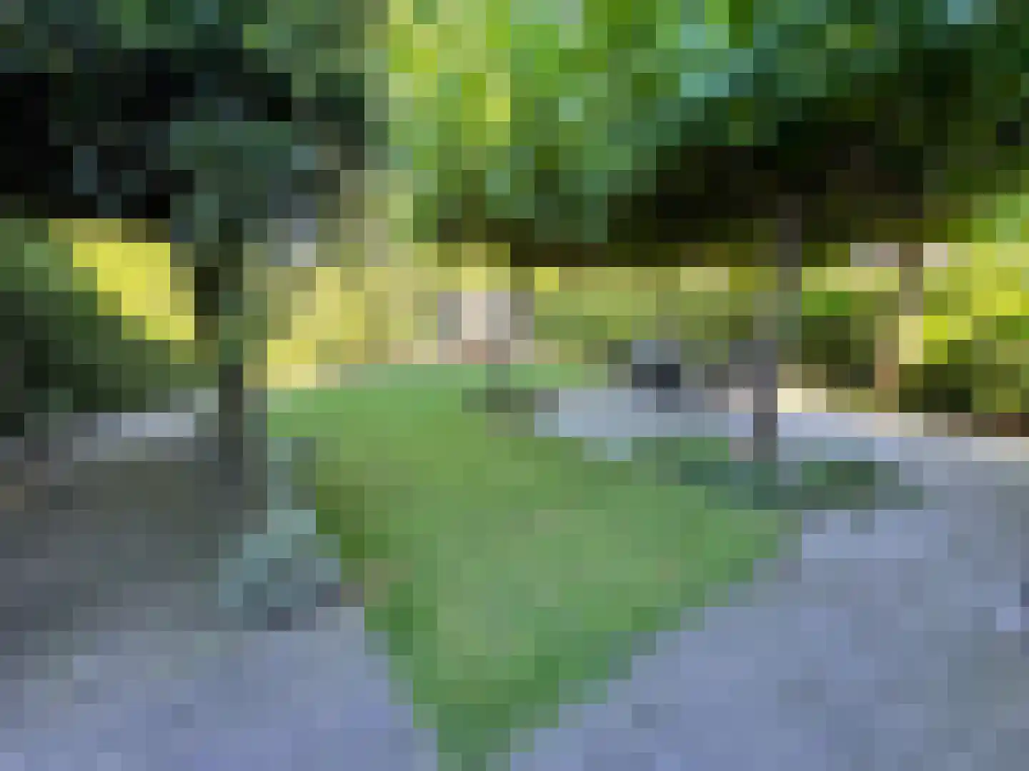 Kortenaerlaan 2 Velp thumbnail 46