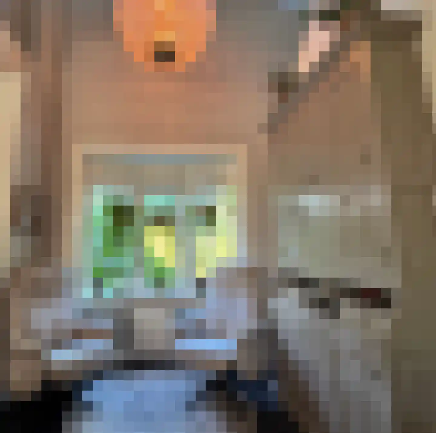Kortenaerlaan 2 Velp thumbnail 47