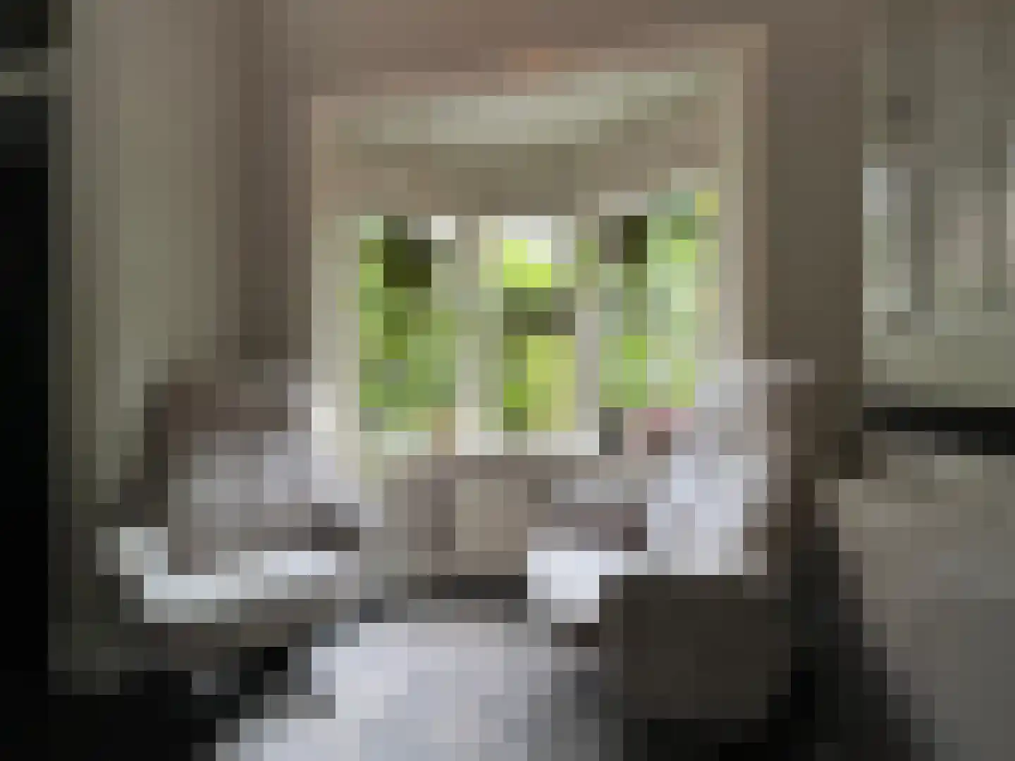 Kortenaerlaan 2 Velp thumbnail 48