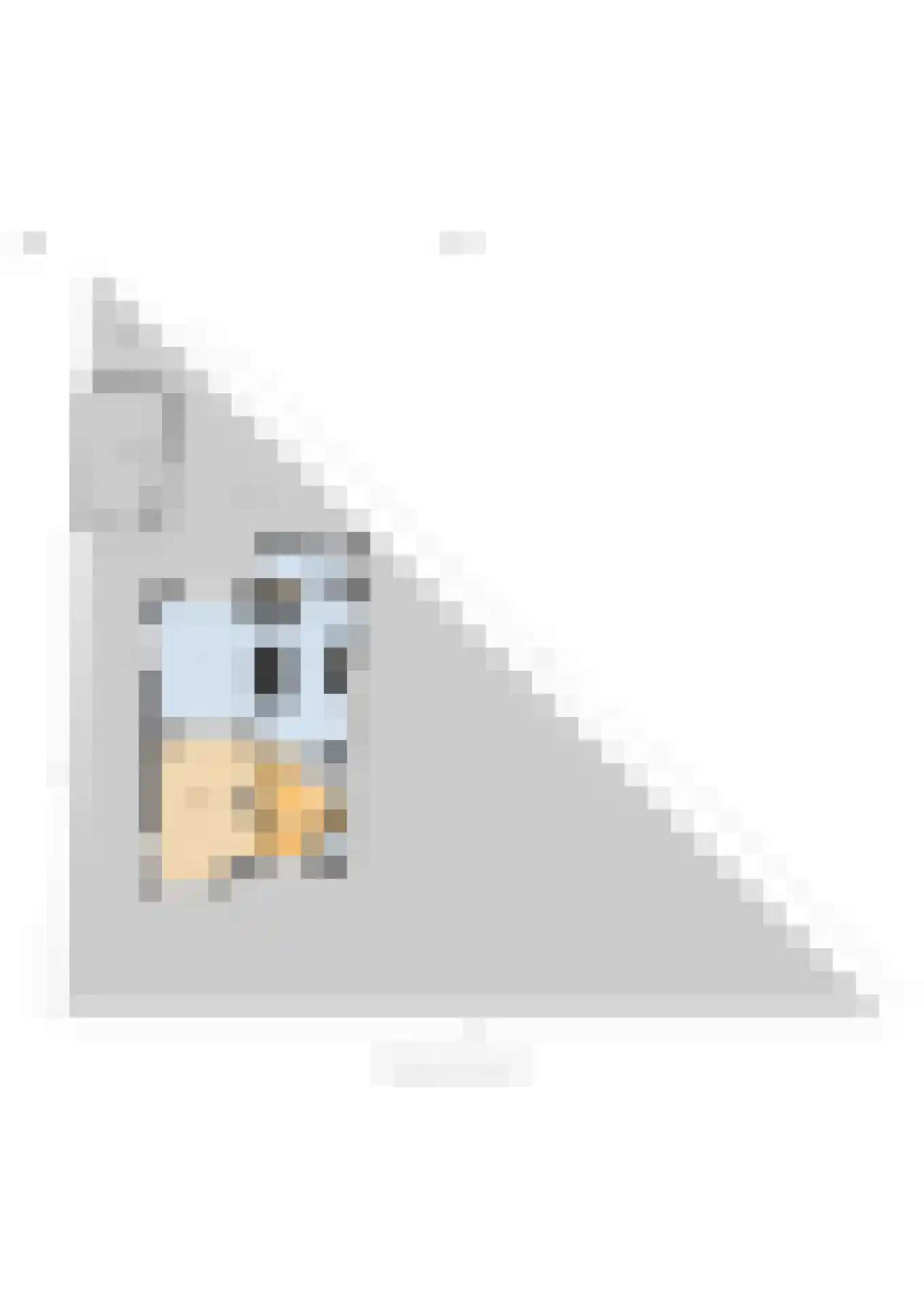 Kortenaerlaan 2 Velp thumbnail 53