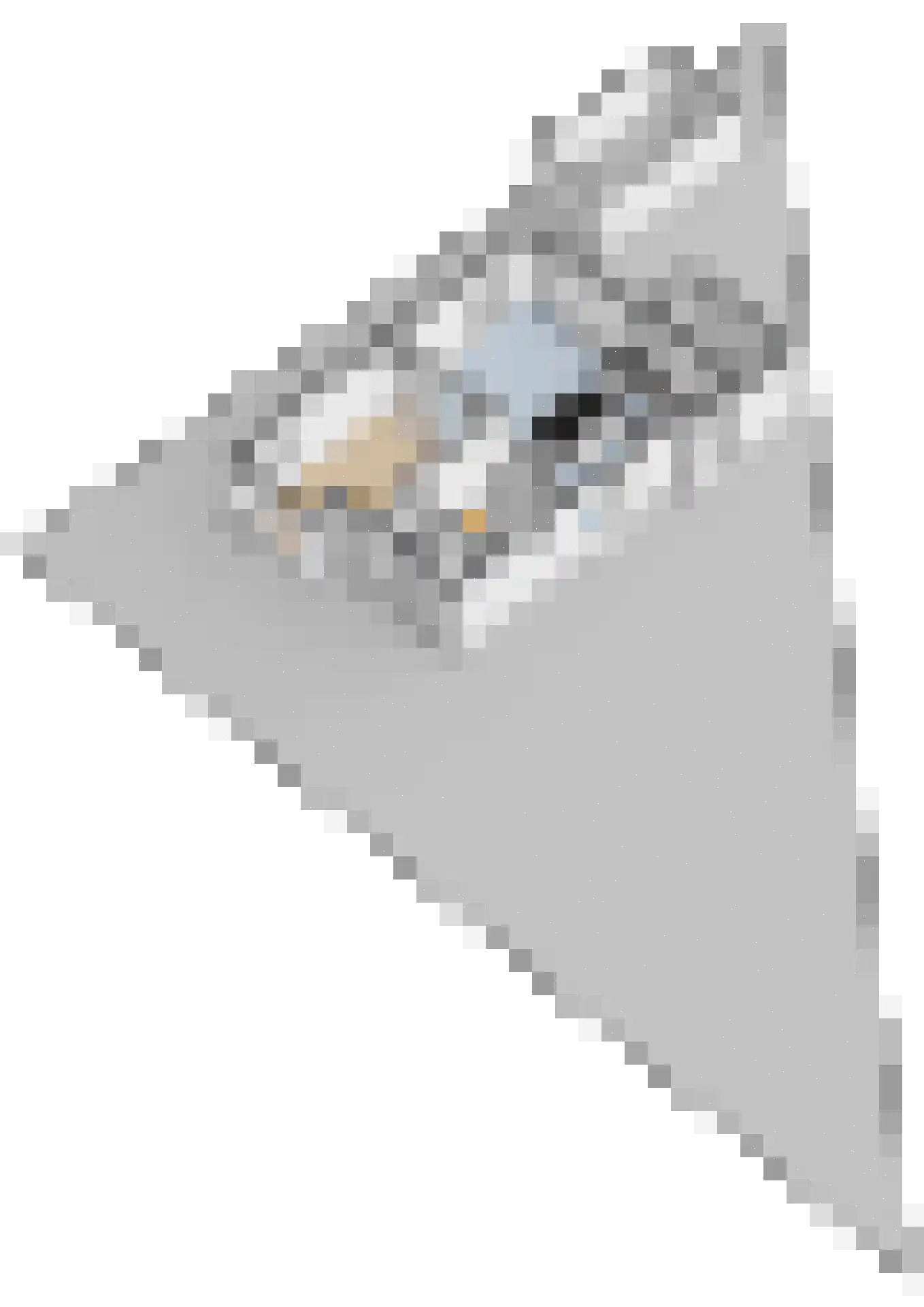 Kortenaerlaan 2 Velp thumbnail 59