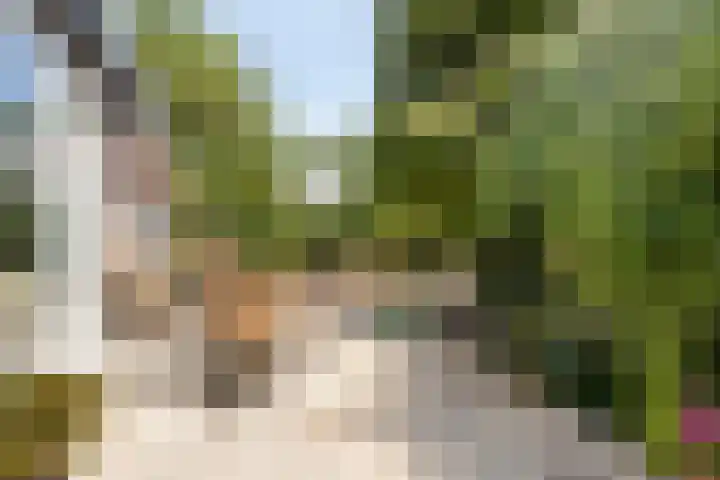 Kortenaerlaan 21 Terneuzen thumbnail 24