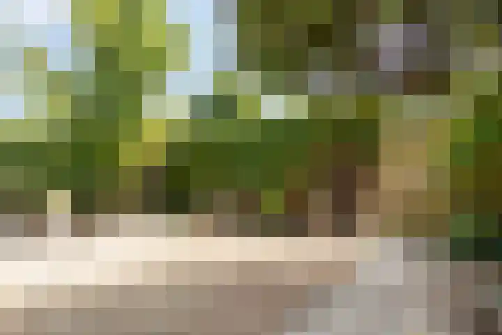 Kortenaerlaan 21 Terneuzen thumbnail 27
