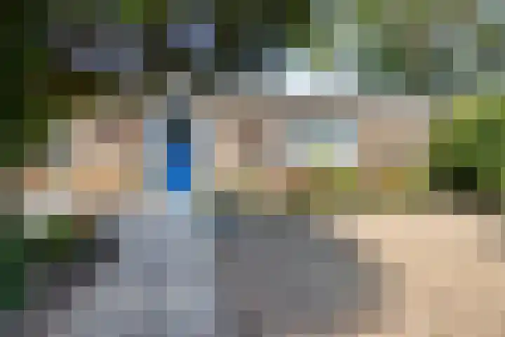 Kortenaerlaan 21 Terneuzen thumbnail 29