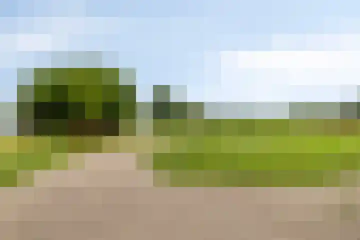 Kortenaerlaan 21 Terneuzen thumbnail 33