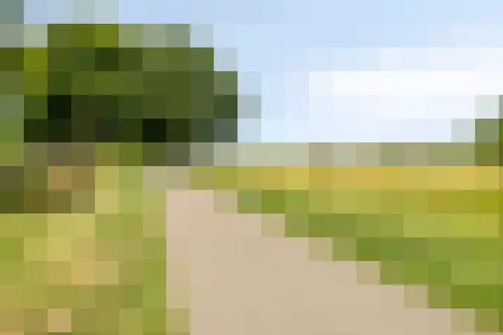 Kortenaerlaan 21 Terneuzen thumbnail 34
