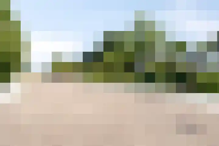 Kortenaerlaan 21 Terneuzen thumbnail 37