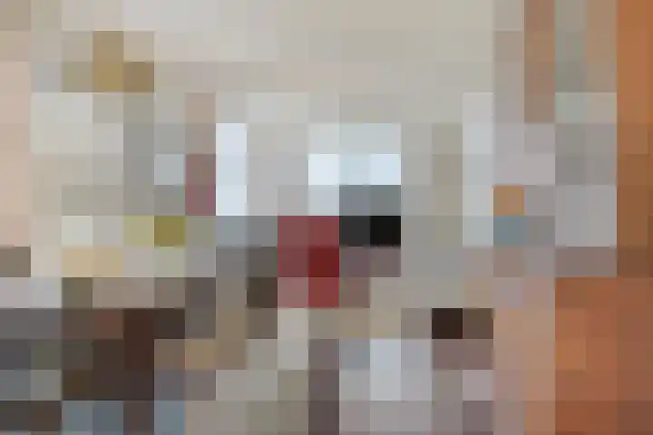 Kortenaerlaan 21 Terneuzen thumbnail 6