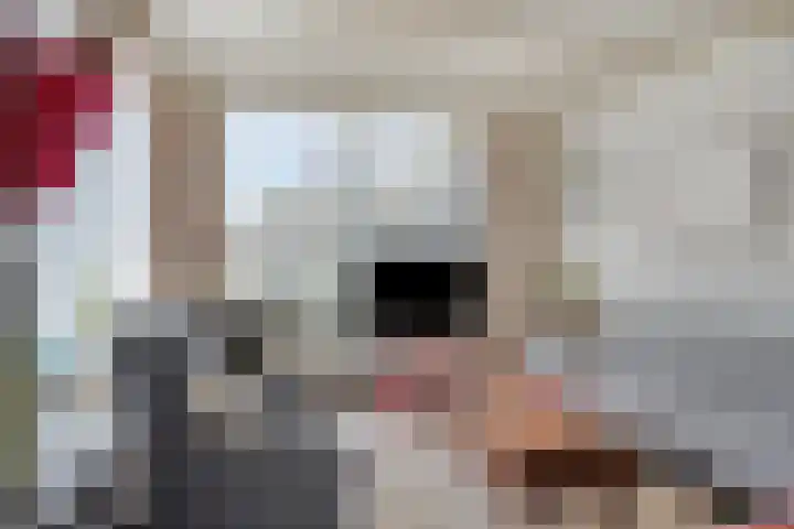 Kortenaerlaan 21 Terneuzen thumbnail 7