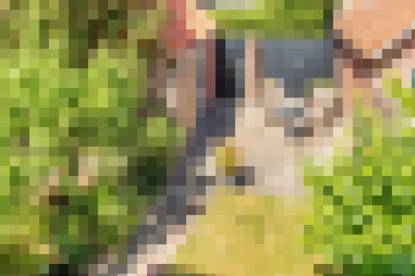 Kortenaerlaan 24 Hilversum thumbnail 27