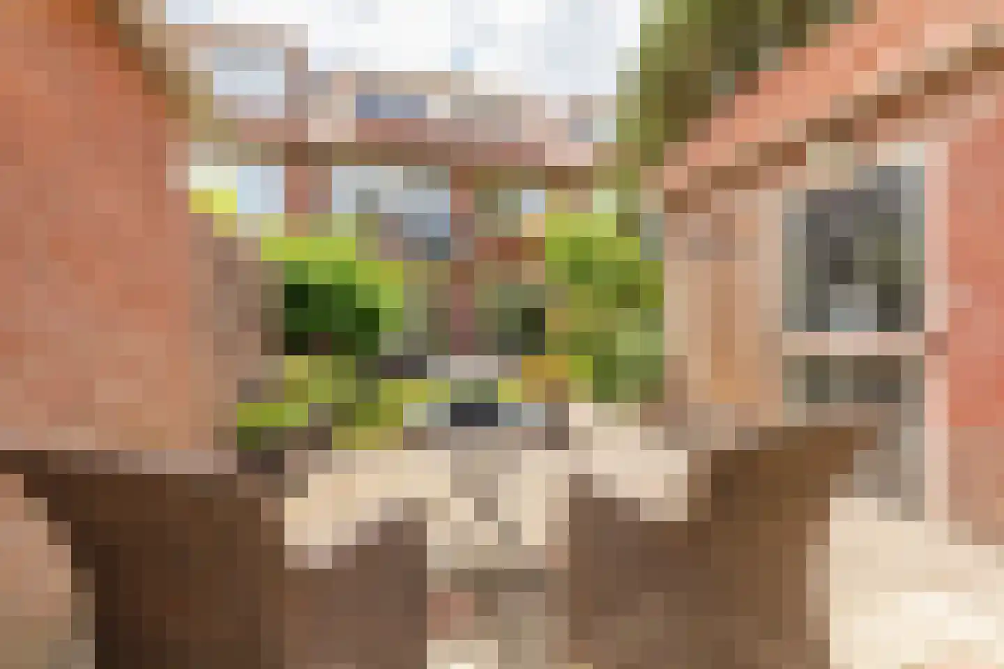 Kortenaerlaan 24 Hilversum thumbnail 32