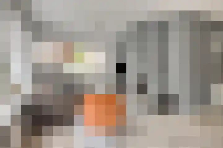 Kortenaerlaan 24 Terneuzen thumbnail 10