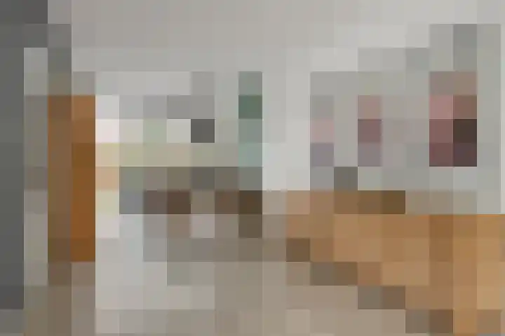Kortenaerlaan 24 Terneuzen thumbnail 13