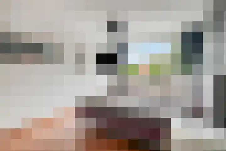 Kortenaerlaan 24 Terneuzen thumbnail 21