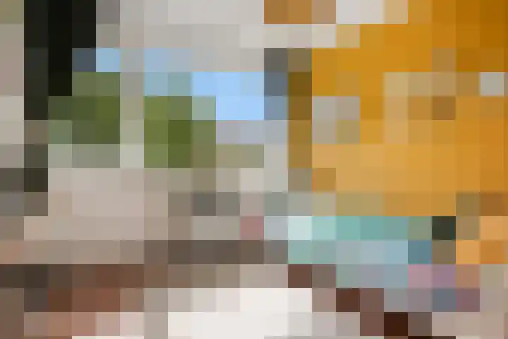 Kortenaerlaan 24 Terneuzen thumbnail 27