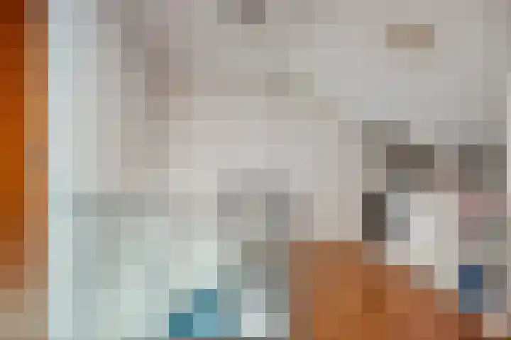 Kortenaerlaan 24 Terneuzen thumbnail 28