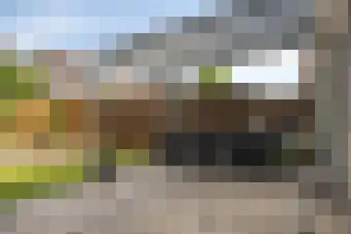 Kortenaerlaan 24 Terneuzen thumbnail 32