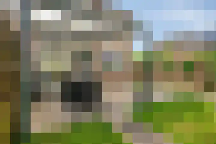 Kortenaerlaan 24 Terneuzen thumbnail 34
