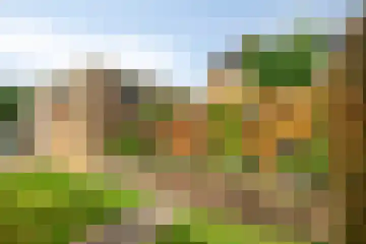 Kortenaerlaan 24 Terneuzen thumbnail 35