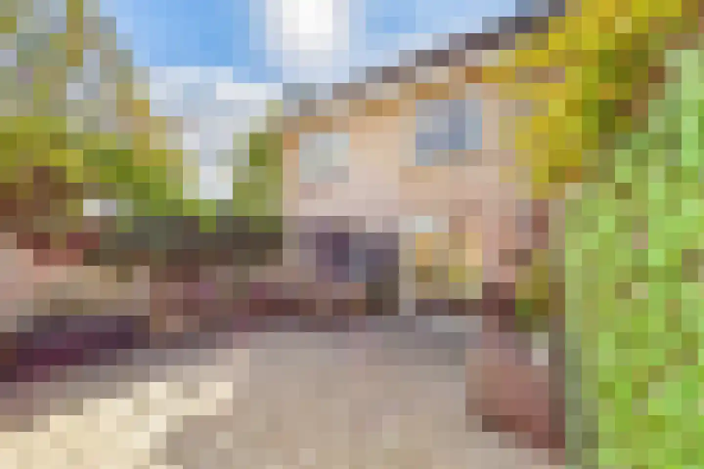 Kortenaerlaan 38 Terneuzen thumbnail 33