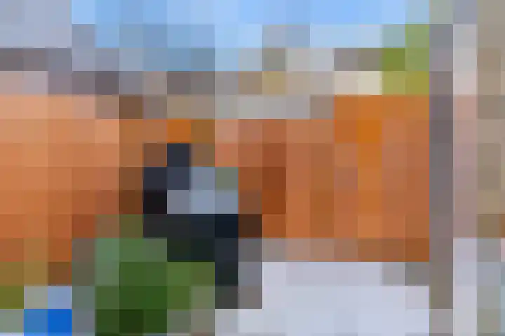 Kortenaerlaan 38 Voorschoten thumbnail 31