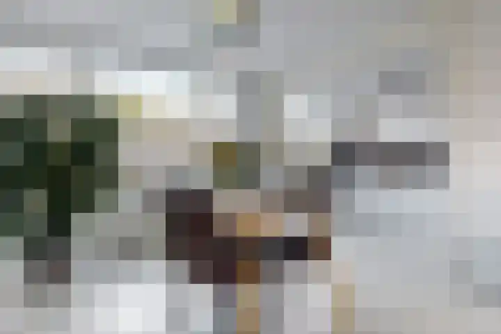 Kortenaerlaan 38 Voorschoten thumbnail 8