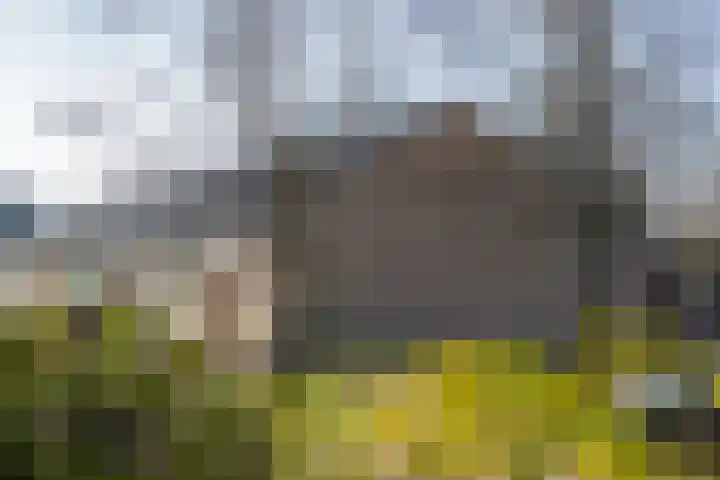 Kortenaerplein 19 Groenlo thumbnail 41